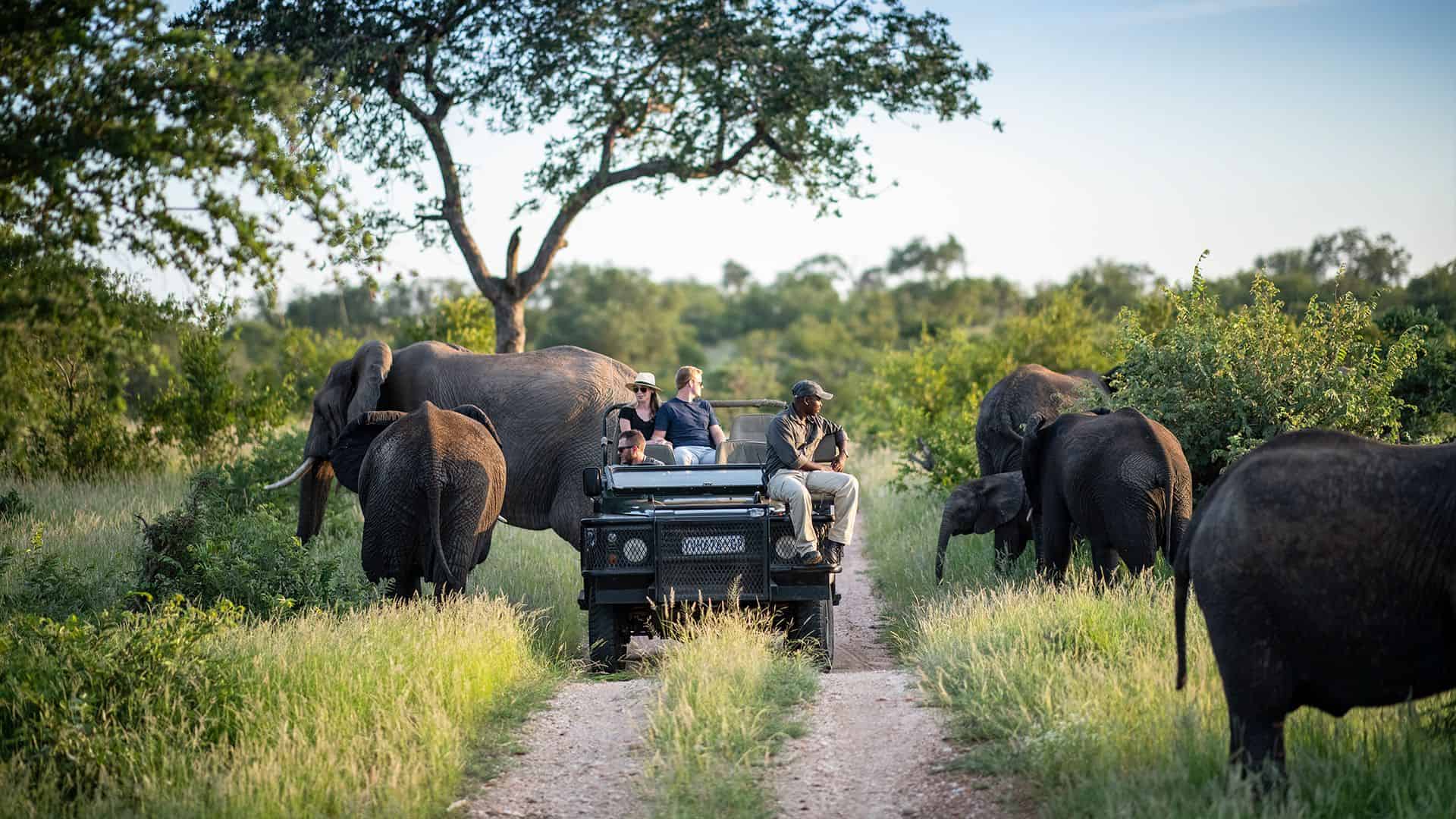 Kruger & Mpumalanga