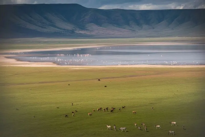 Ngorongoro Crater Safari - Ngorongoro Conservation Area