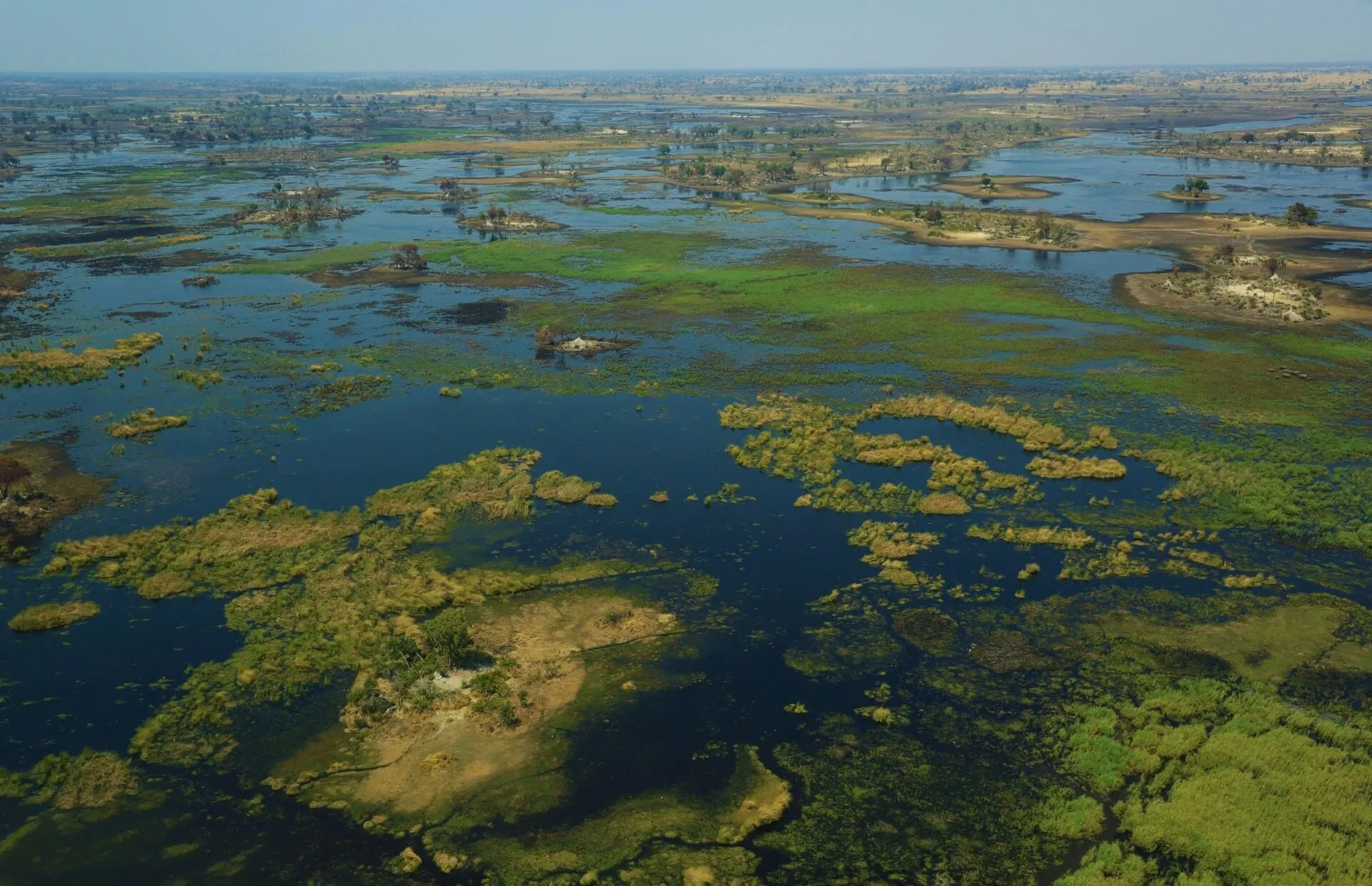Okavango Delta Fly-In