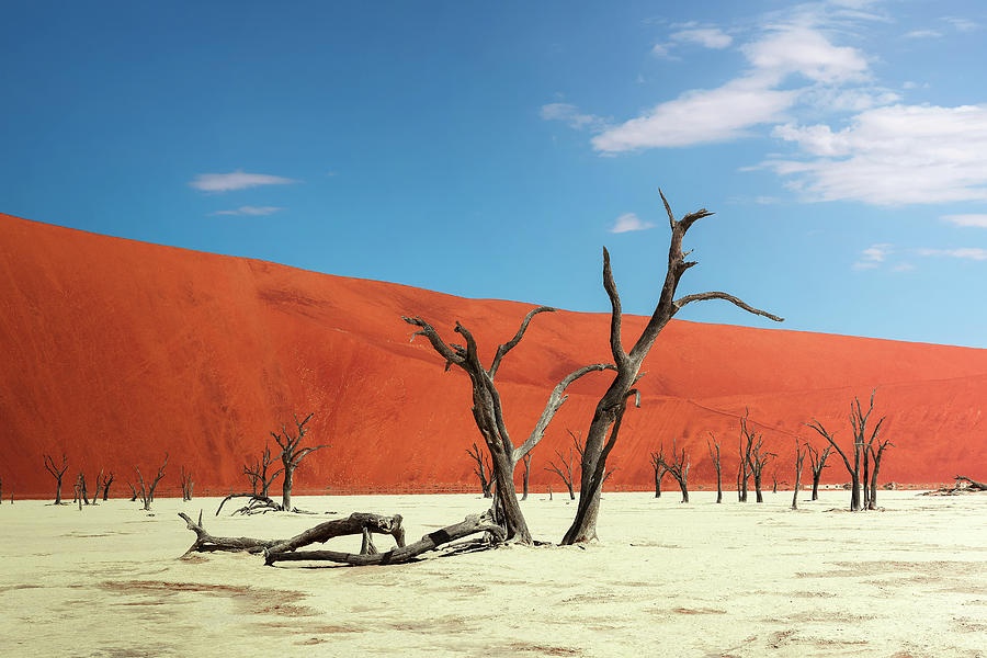 Namibia Safari Guide 2026 — Sossusvlei, Etosha, Skeleton Coast & Desert Elephants