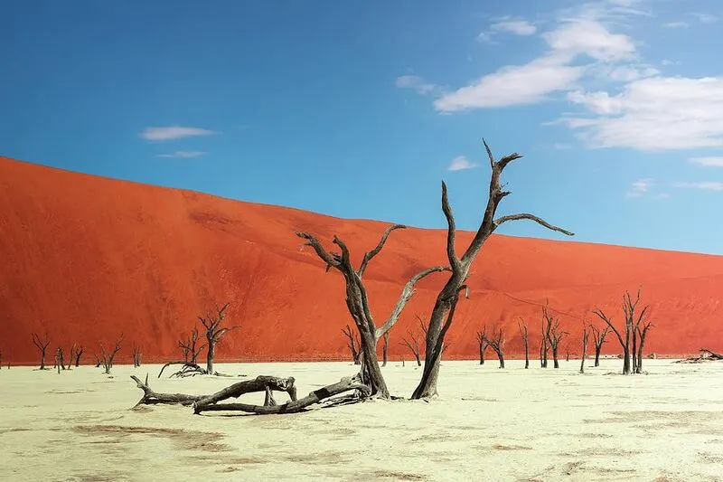 Sossusvlei & Deadvlei - Namib-Naukluft National Park