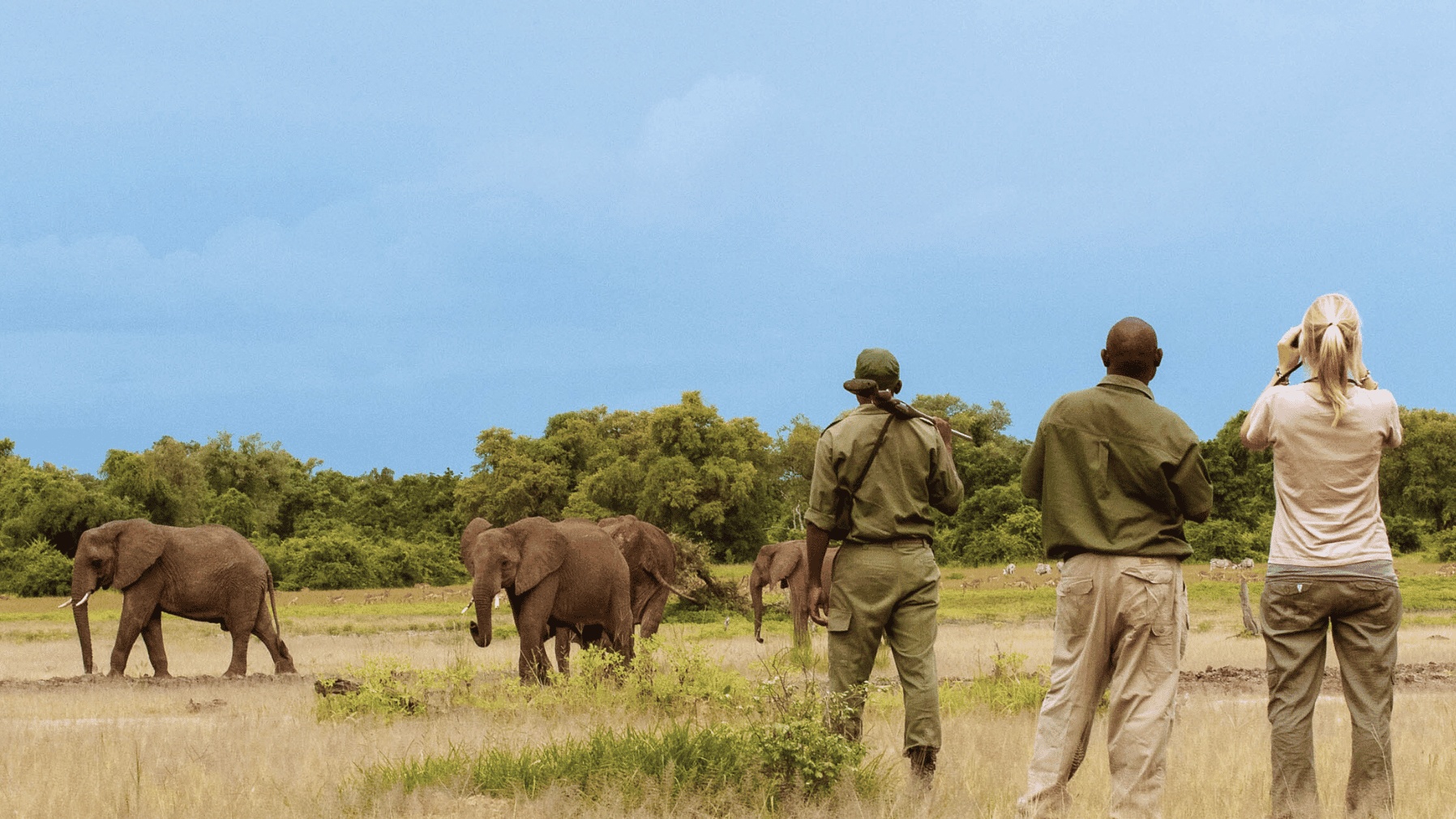 Walking Safari - South Luangwa National Park