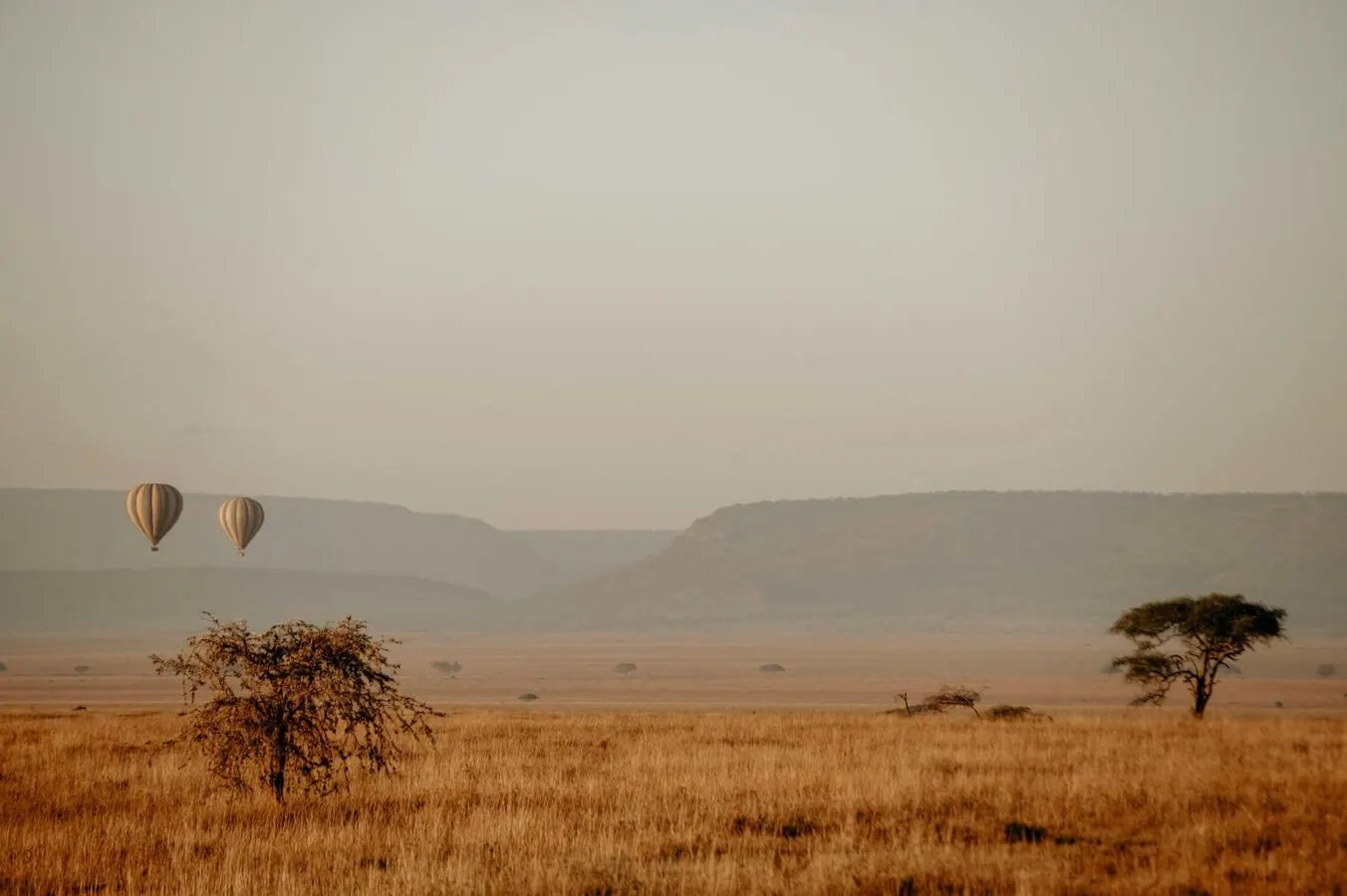Serengeti & Zanzibar honeymoon safari destination — Great Migration + beach