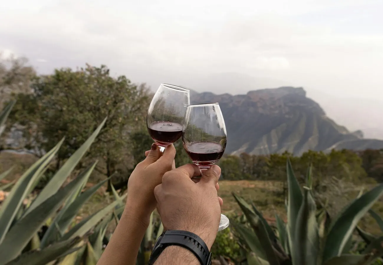 Cape Winelands honeymoon safari destination — Wine + fine dining + safari
