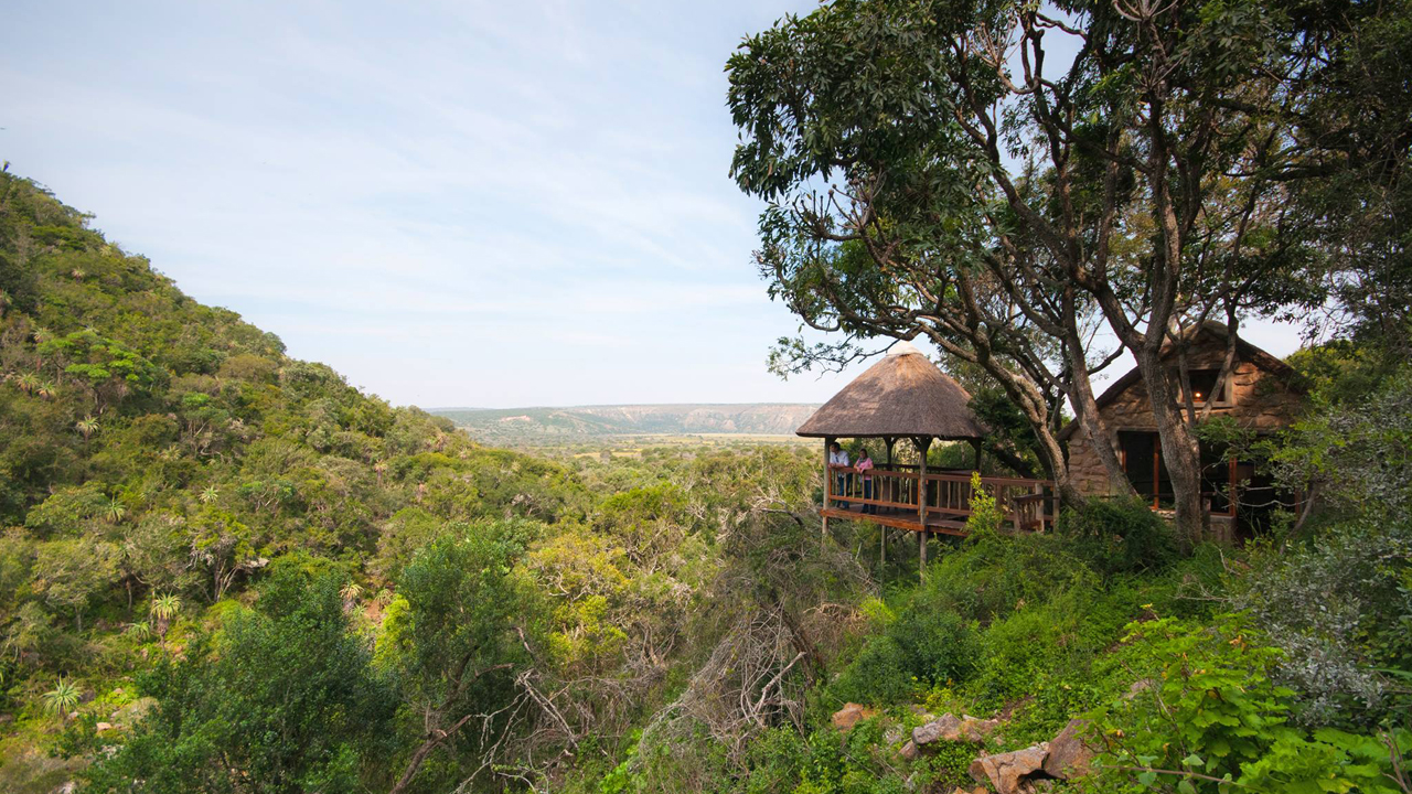 Amakhala Game Reserve — luxury safari accommodation