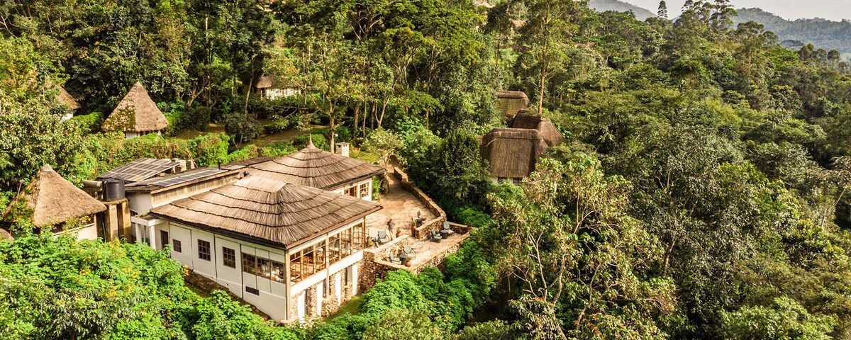 Bwindi Lodge — luxury safari accommodation