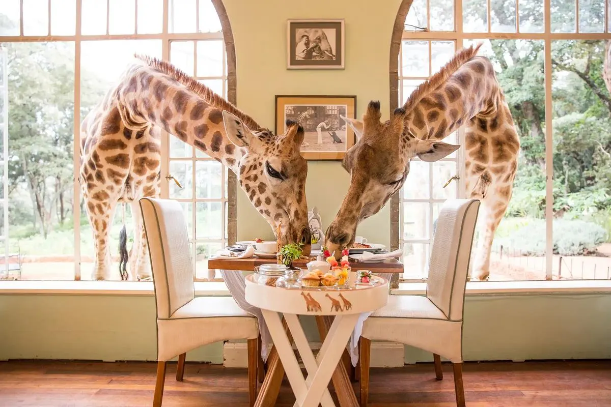Giraffe Manor — recommended safari lodge for South African Giraffe viewing