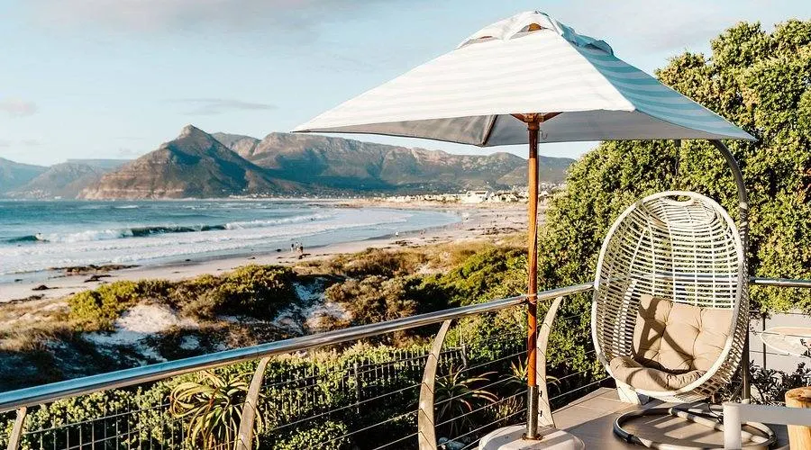 The Last Word Long Beach β recommended safari lodge for African Penguin viewing