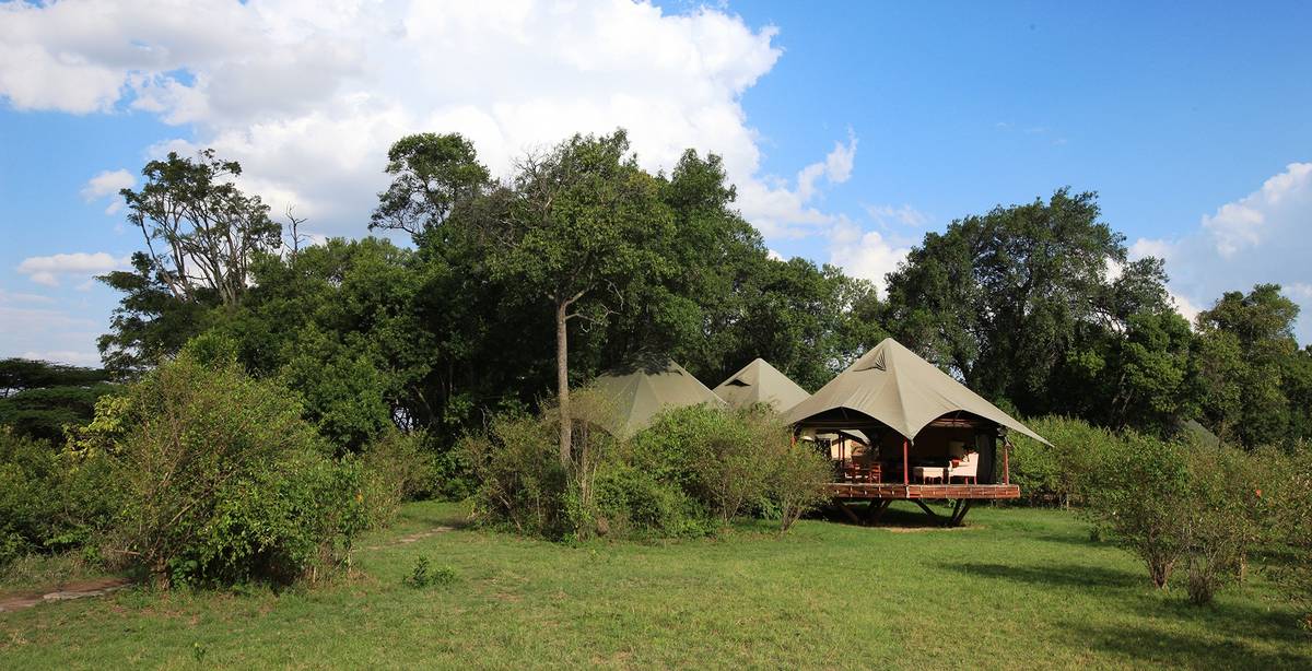 Mara Plains Camp — recommended safari lodge for Blue Wildebeest viewing
