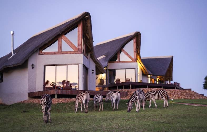 Mountain Zebra National Park — recommended safari lodge for Springbok viewing