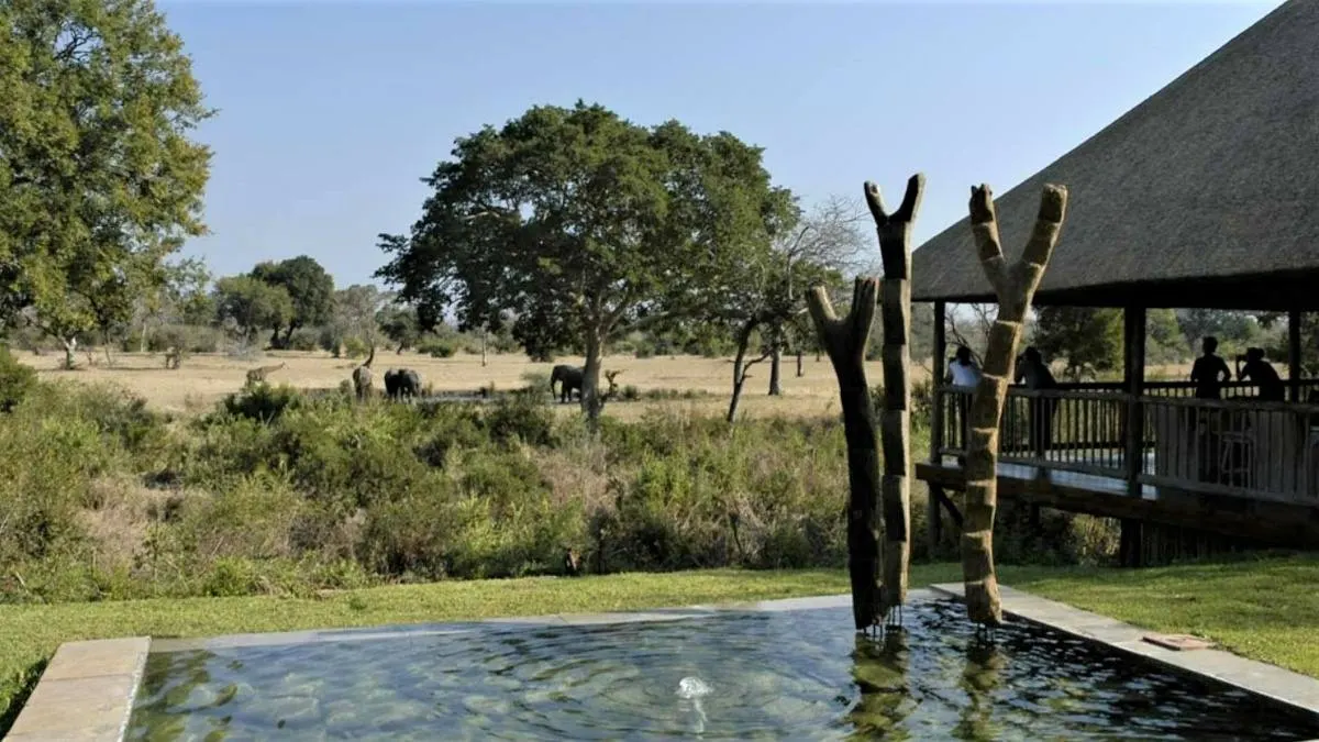 Sabi Sabi Bush Lodge — recommended safari lodge for Cape Buffalo viewing