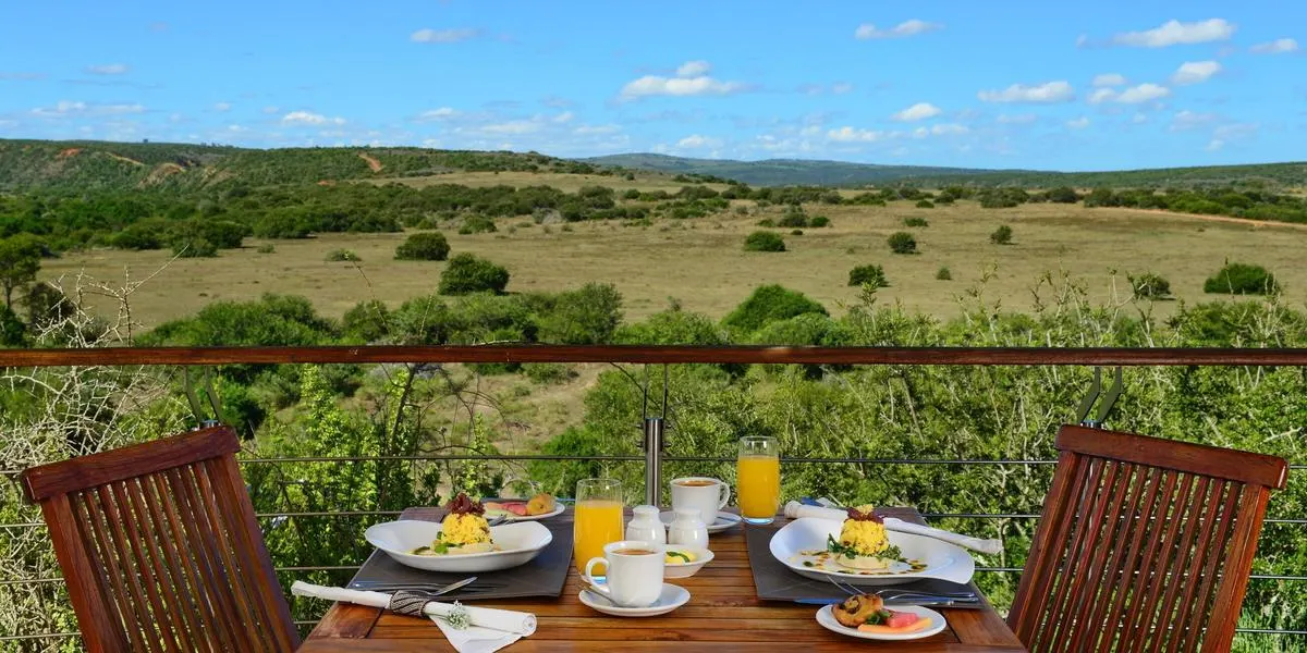 Shamwari Private Game Reserve — recommended safari lodge for African Lion viewing