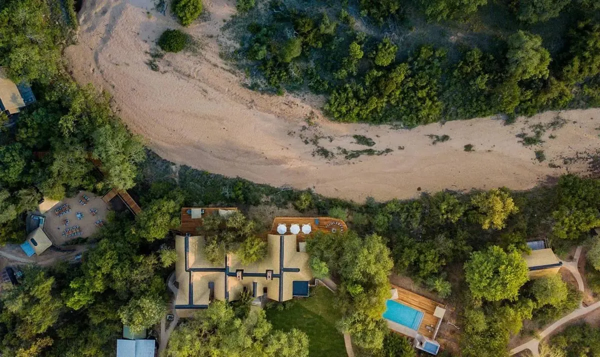 Thornybush Nature Reserve — recommended safari lodge for South African Giraffe viewing