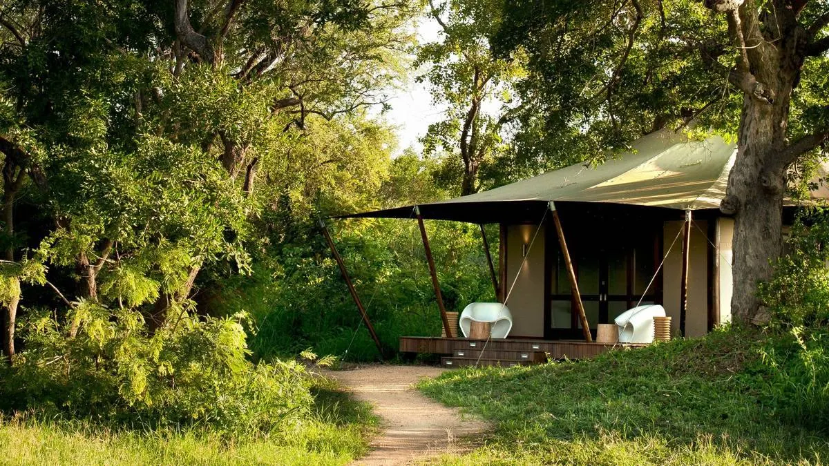 Timbavati Private Nature Reserve β recommended safari lodge for African Wild Dog viewing