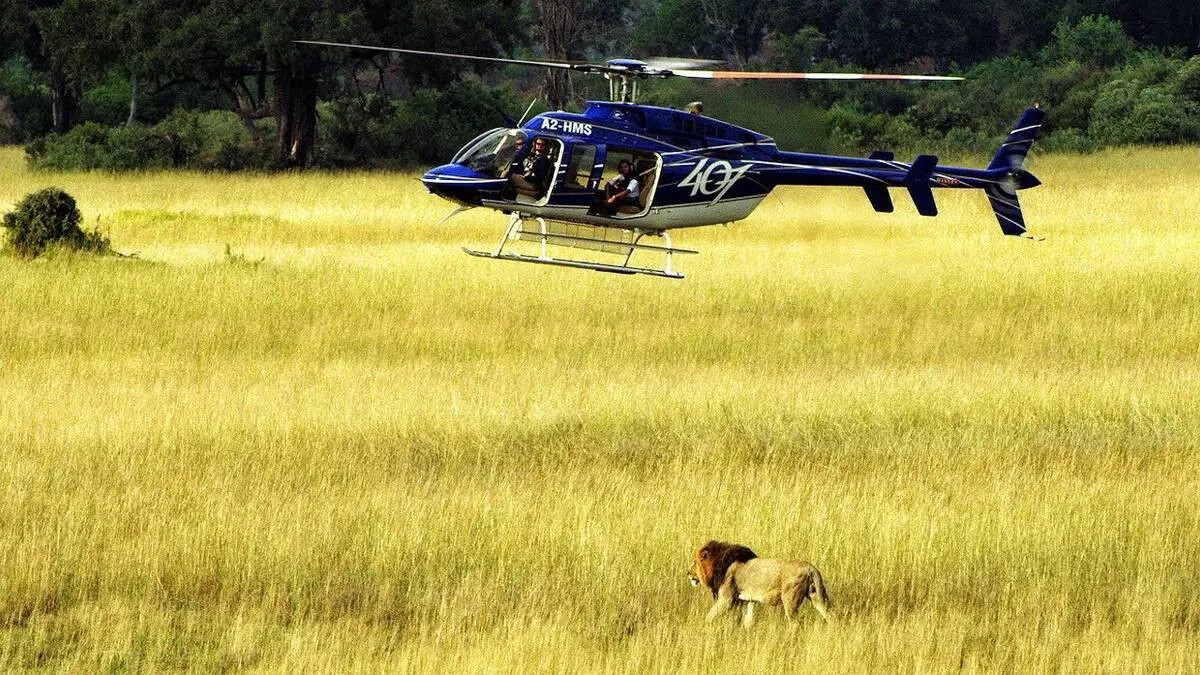 Okavango Delta Helicopter Scenic Flight & Big Five Game Drive — Okavango Delta, Botswana