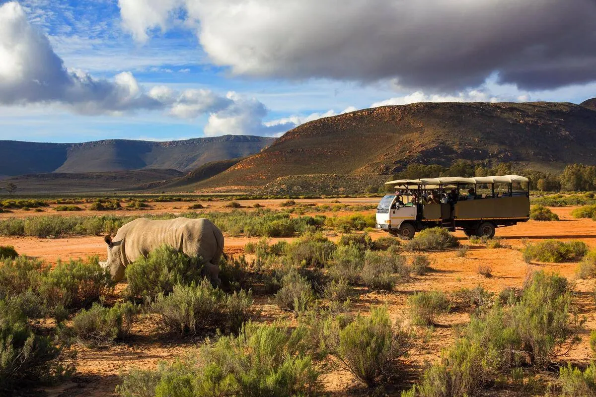 White Rhinoceros — African wildlife safari guide