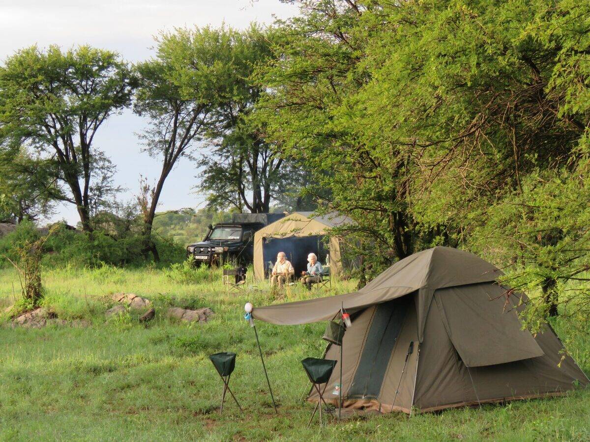 Smart Value safari experience