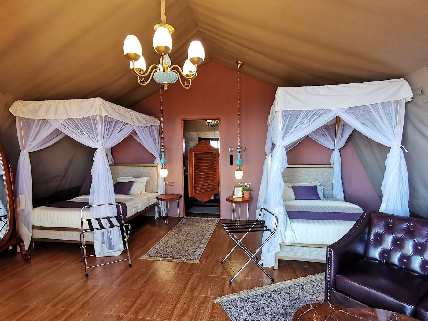 Comfortable safari lodge with wildlife views