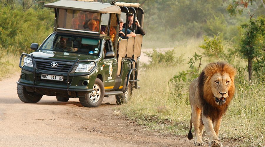 Classic Cape Town, Winelands & Kruger Safari