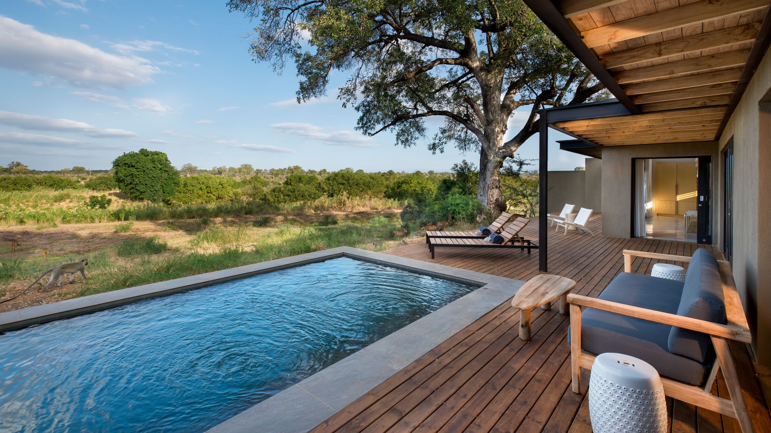 Ultimate Sabi Sands Luxury Fly-In Safari