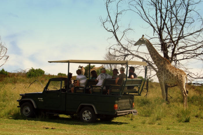 5-Day Garden Route & Addo Elephant Safari Adventure — Garden Route, Eastern Cape