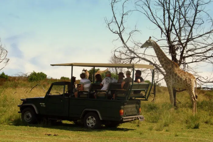 5-Day Garden Route & Addo Elephant Safari Adventure