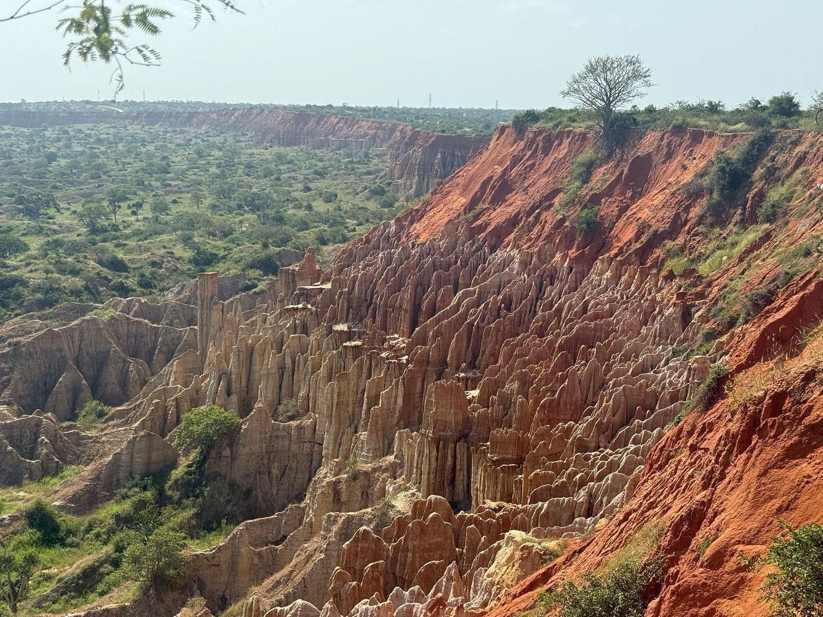 Angola Highlights — 10-Day Pioneer Tour — Luanda, Angola