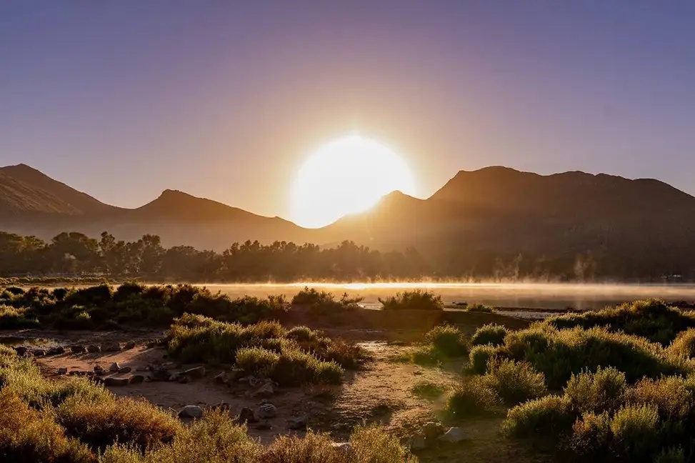 Big Five Sunset Safari Game Drive from Cape Town — Western Cape Game Reserve