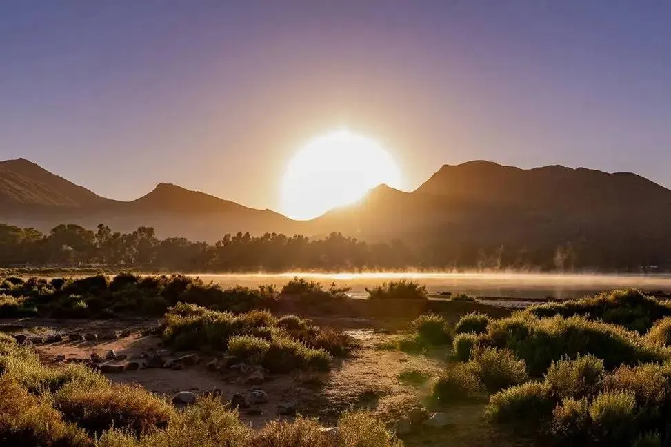 Big Five Sunset Safari Game Drive from Cape Town — Western Cape Game Reserve