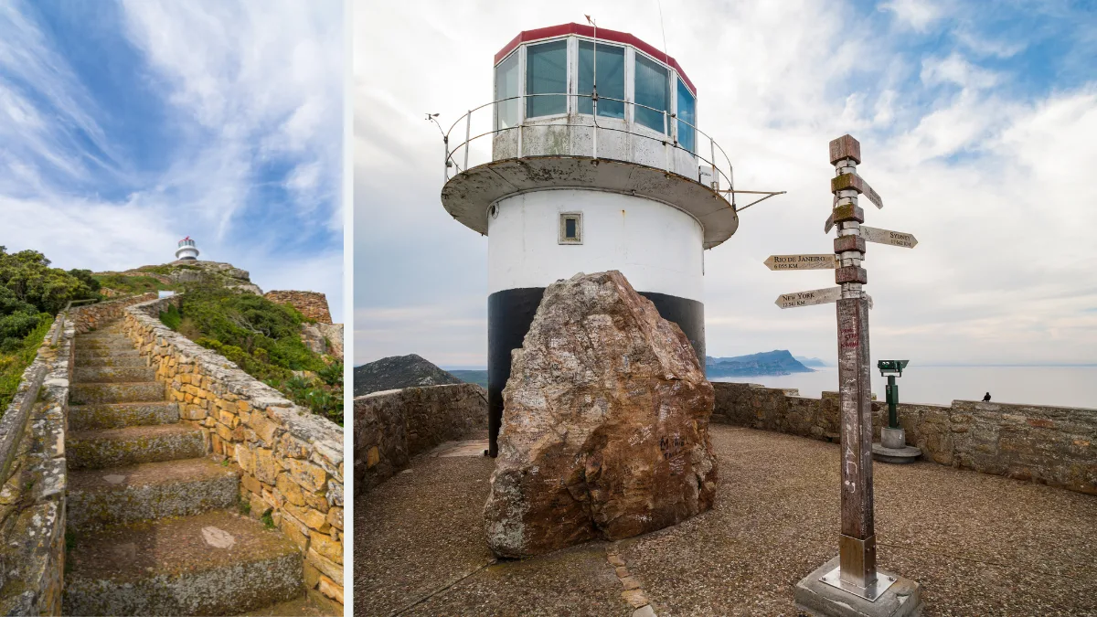 Private Tour: Cape of Good Hope, Table Mountain & Penguins