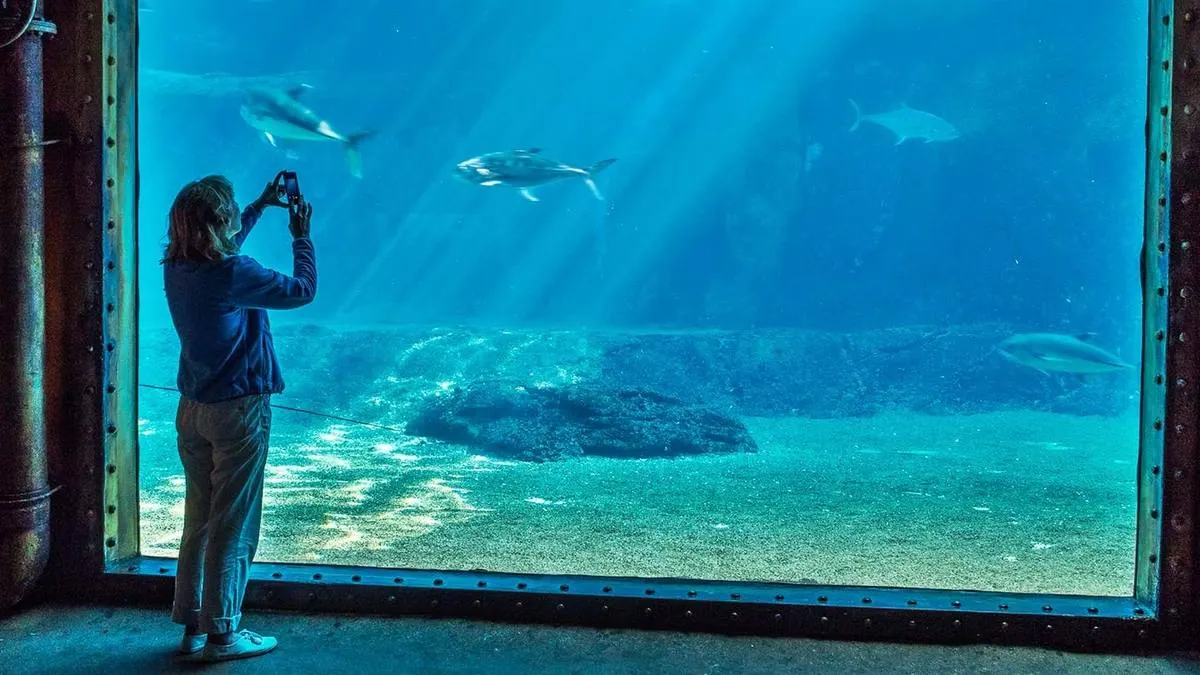 uShaka Marine World Full-Day Experience — Durban