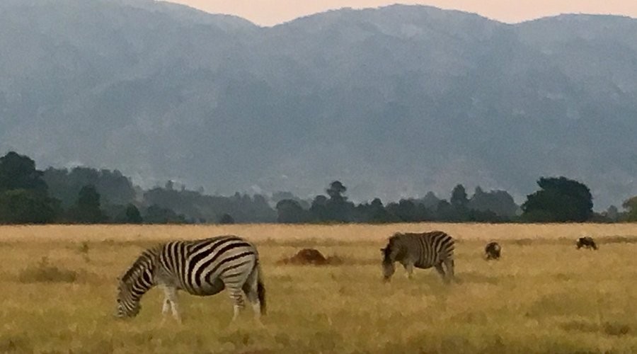 Mlilwane Walking & Mountain Biking Safari — Mlilwane, Eswatini