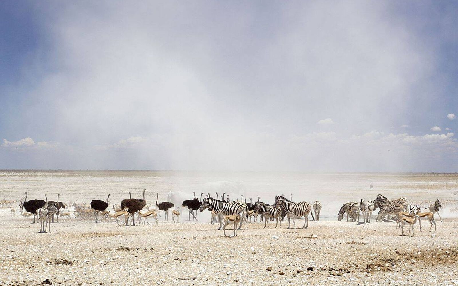 Etosha Big Five Safari — Ngorongoro Crater safari package