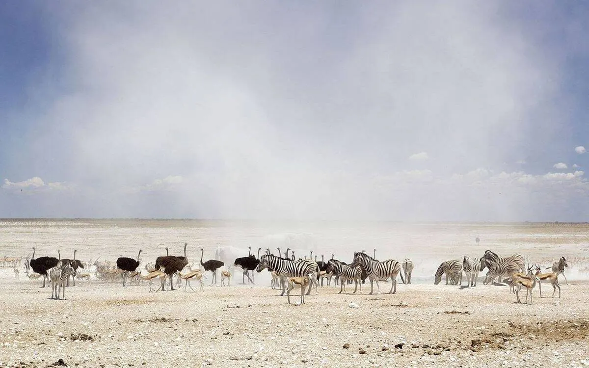 Etosha Big Five Safari — Ngorongoro Crater safari package