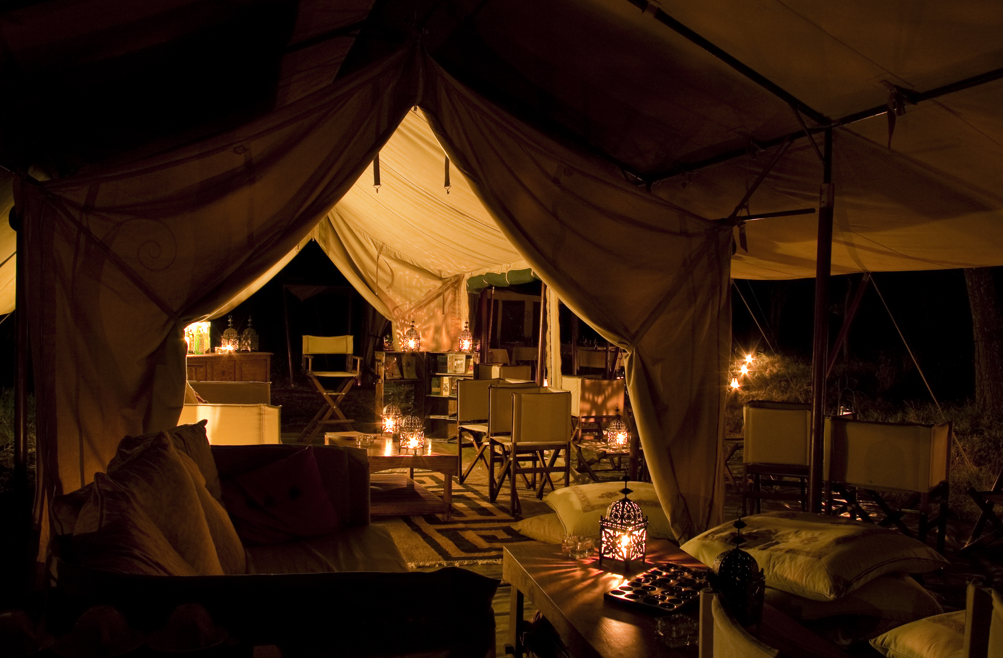 African Lion β African wildlife safari guide