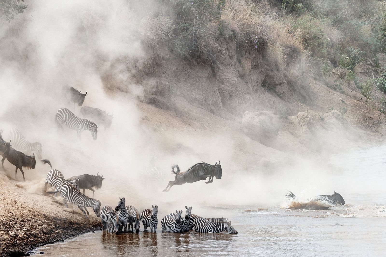 Serengeti Great Migration River Crossing — Mara River Safari