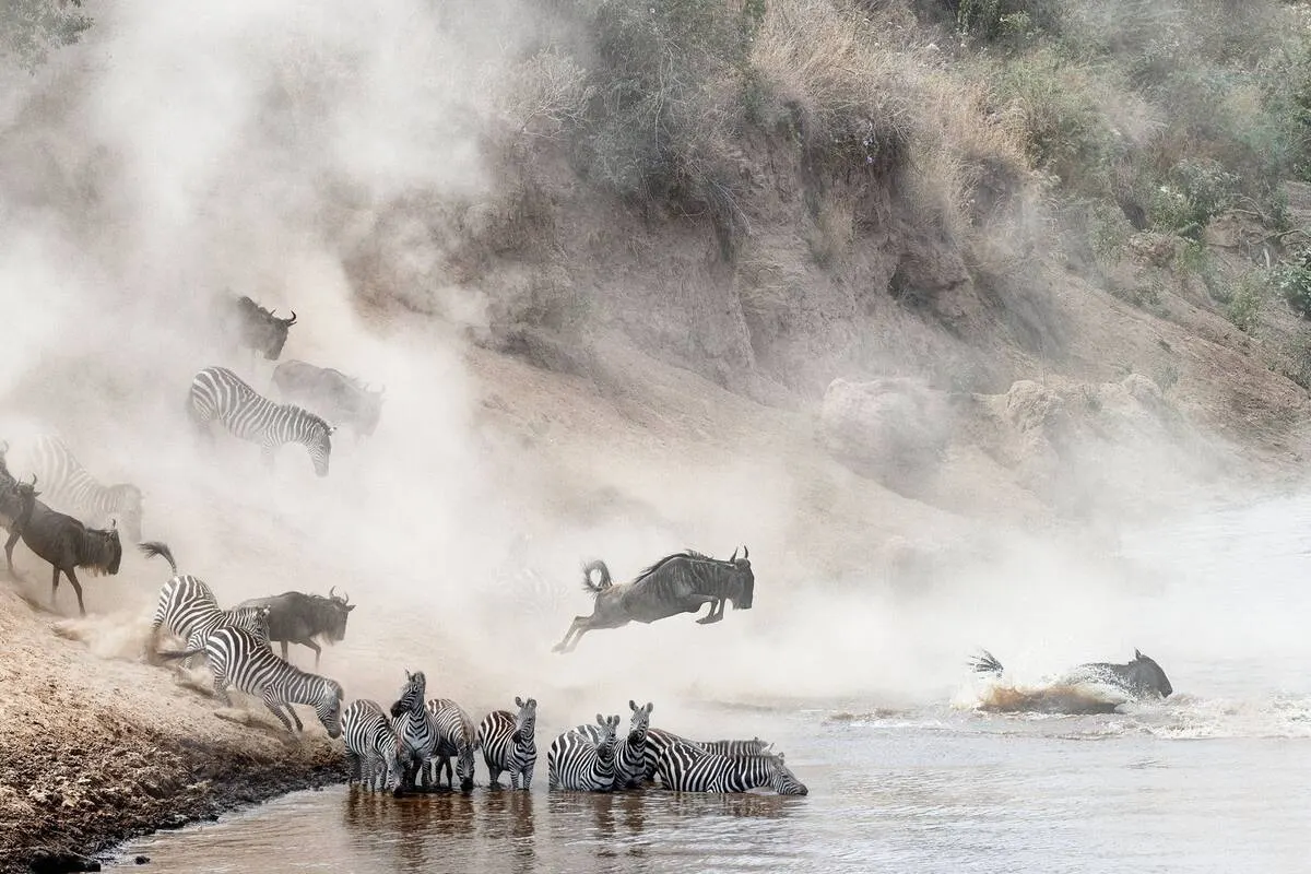 Serengeti Great Migration River Crossing — Mara River Safari