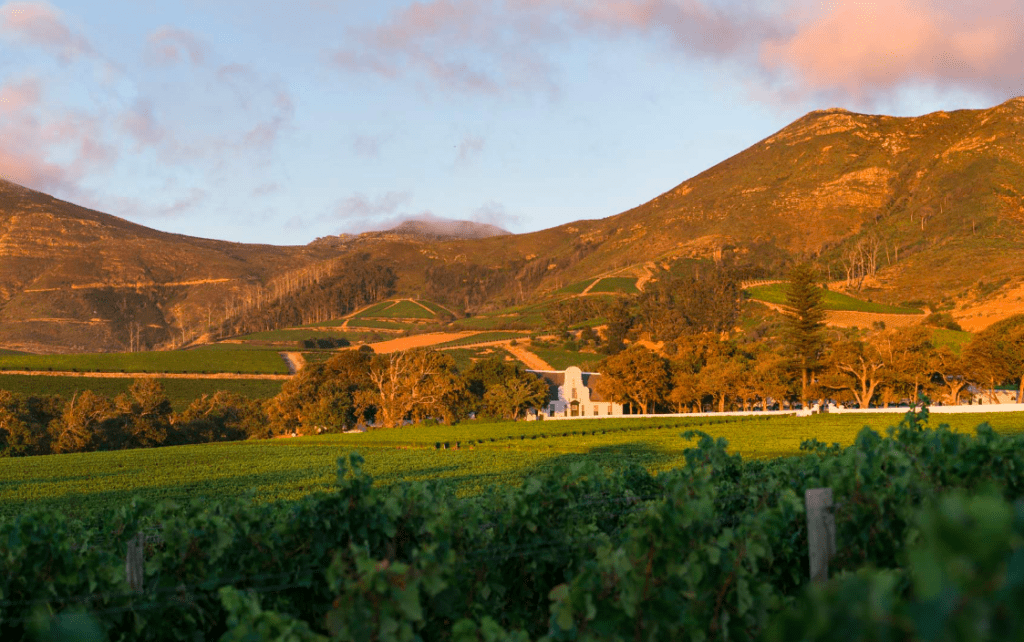 Groot Constantia Wine Estate — Historic Cellar Tour & Tasting — Constantia, Cape Town