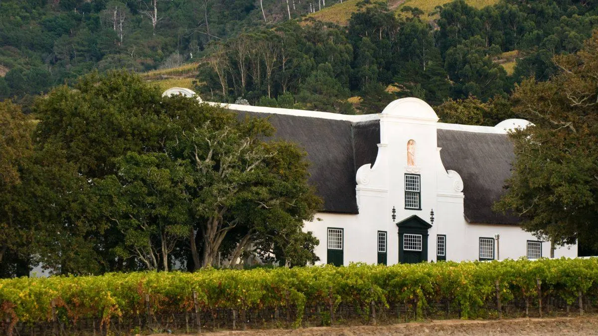 Private Luxury Wine Tour — Cape Winelands