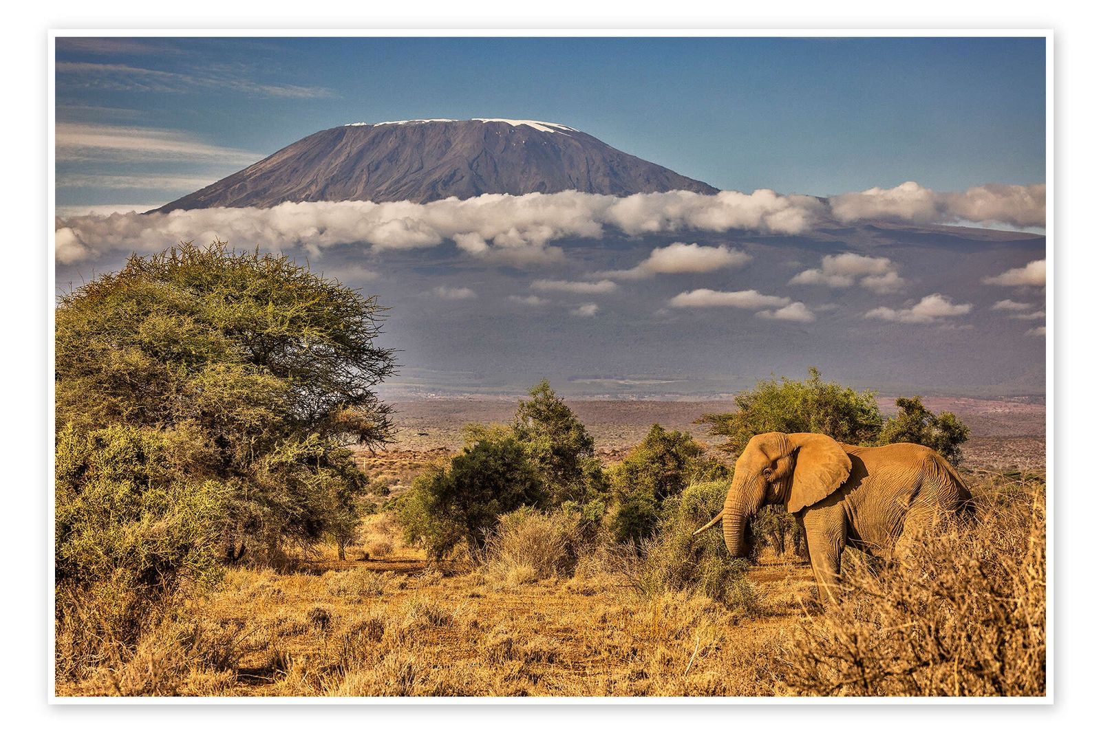 Amboseli Safari — Elephants & Kilimanjaro — Amboseli, Kenya