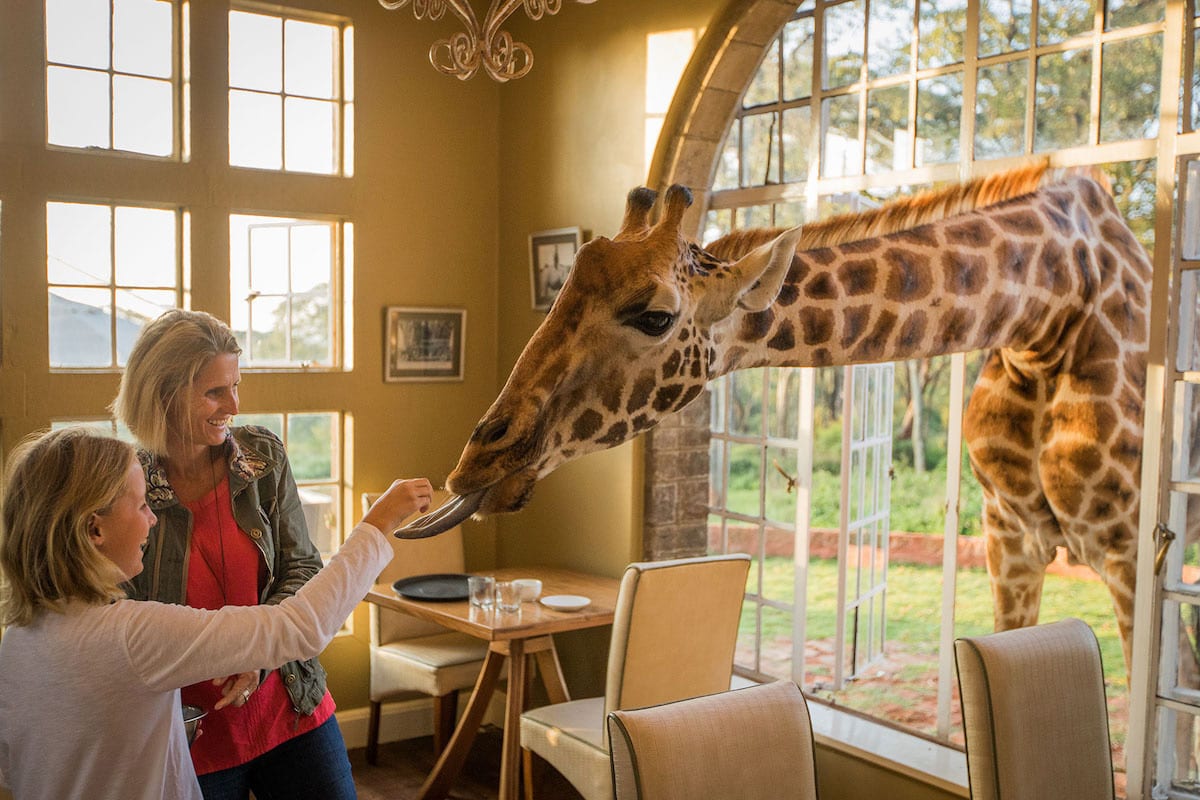 Giraffe Manor & Nairobi Day Experience — Nairobi, Kenya