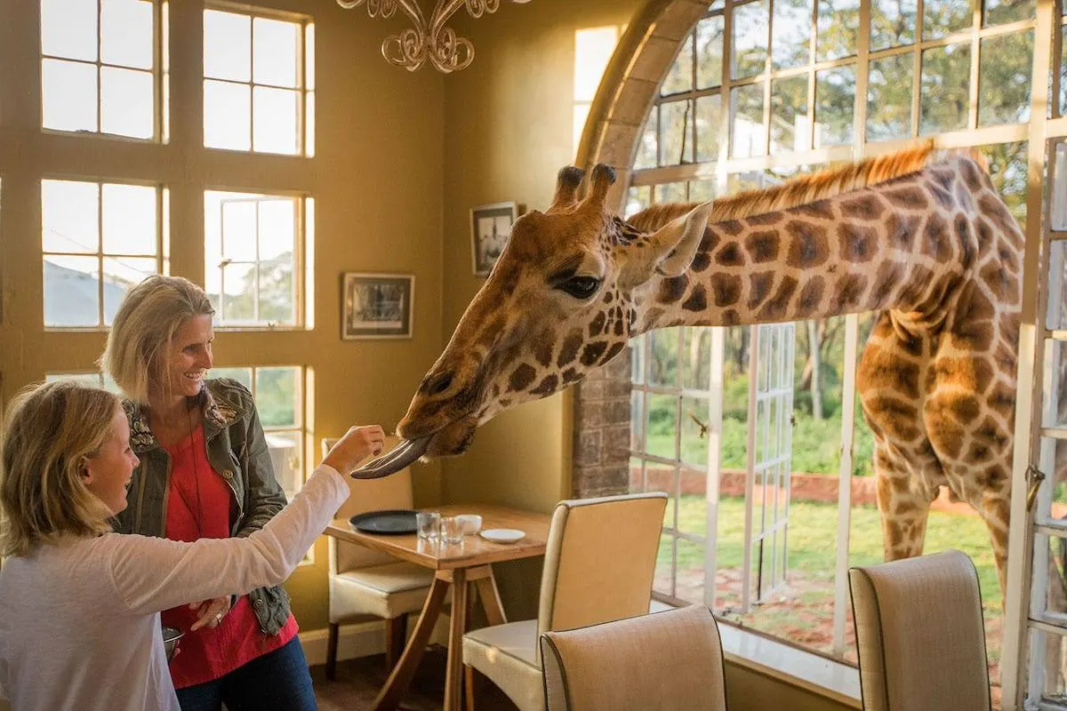 Giraffe Manor & Nairobi Day Experience — Nairobi, Kenya