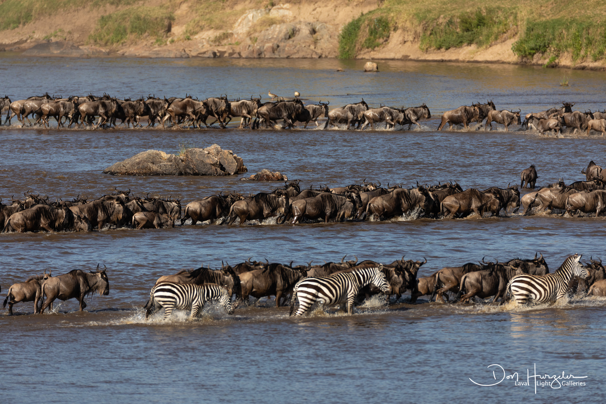 Kenya & Tanzania Migration Combo — 10-Day Ultimate — Kenya & Tanzania