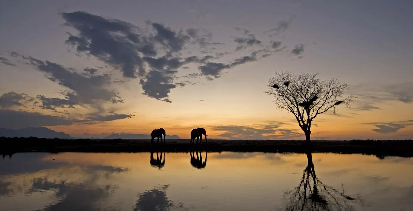 Kruger Sunrise Morning Safari