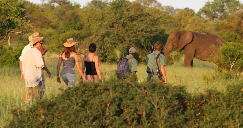 Kruger Guided Wilderness Walk — Kruger National Park, Hazyview