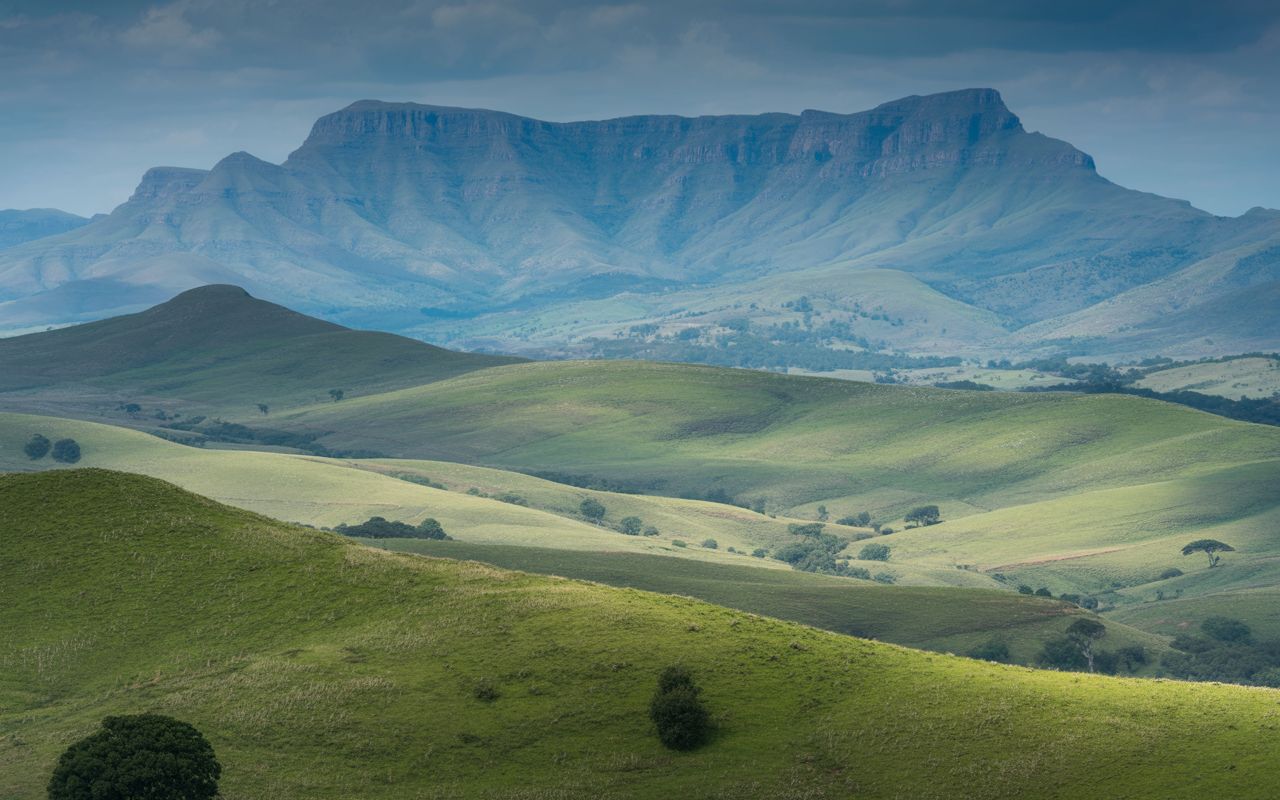 KwaZulu-Natal Battlefields & Wildlife