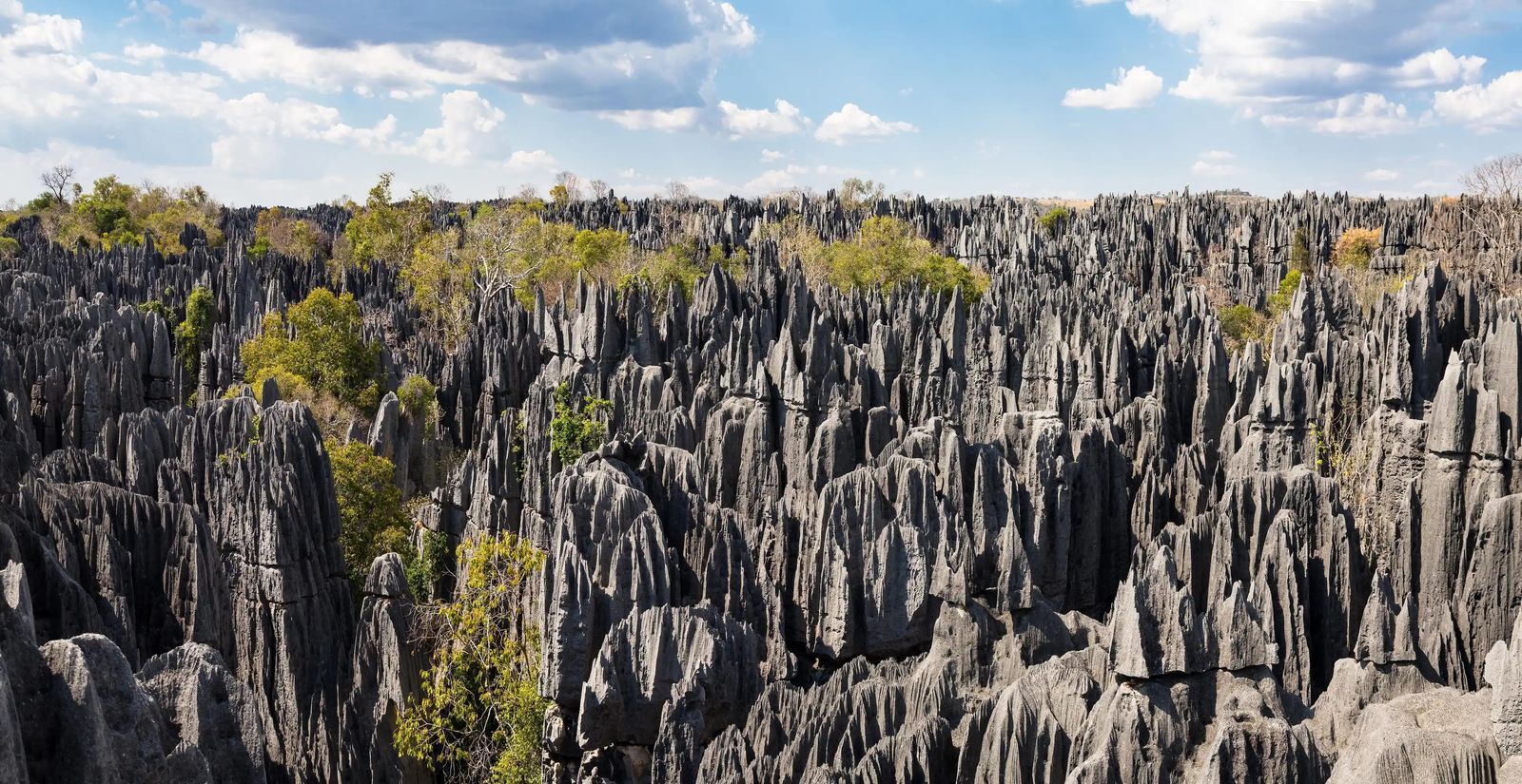 Tsingy de Bemaraha — Madagascar's Alien Landscape Trek — Tsingy de Bemaraha, Madagascar
