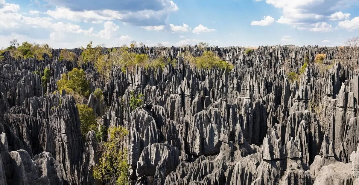 Tsingy de Bemaraha — Madagascar's Alien Landscape Trek — Tsingy de Bemaraha, Madagascar