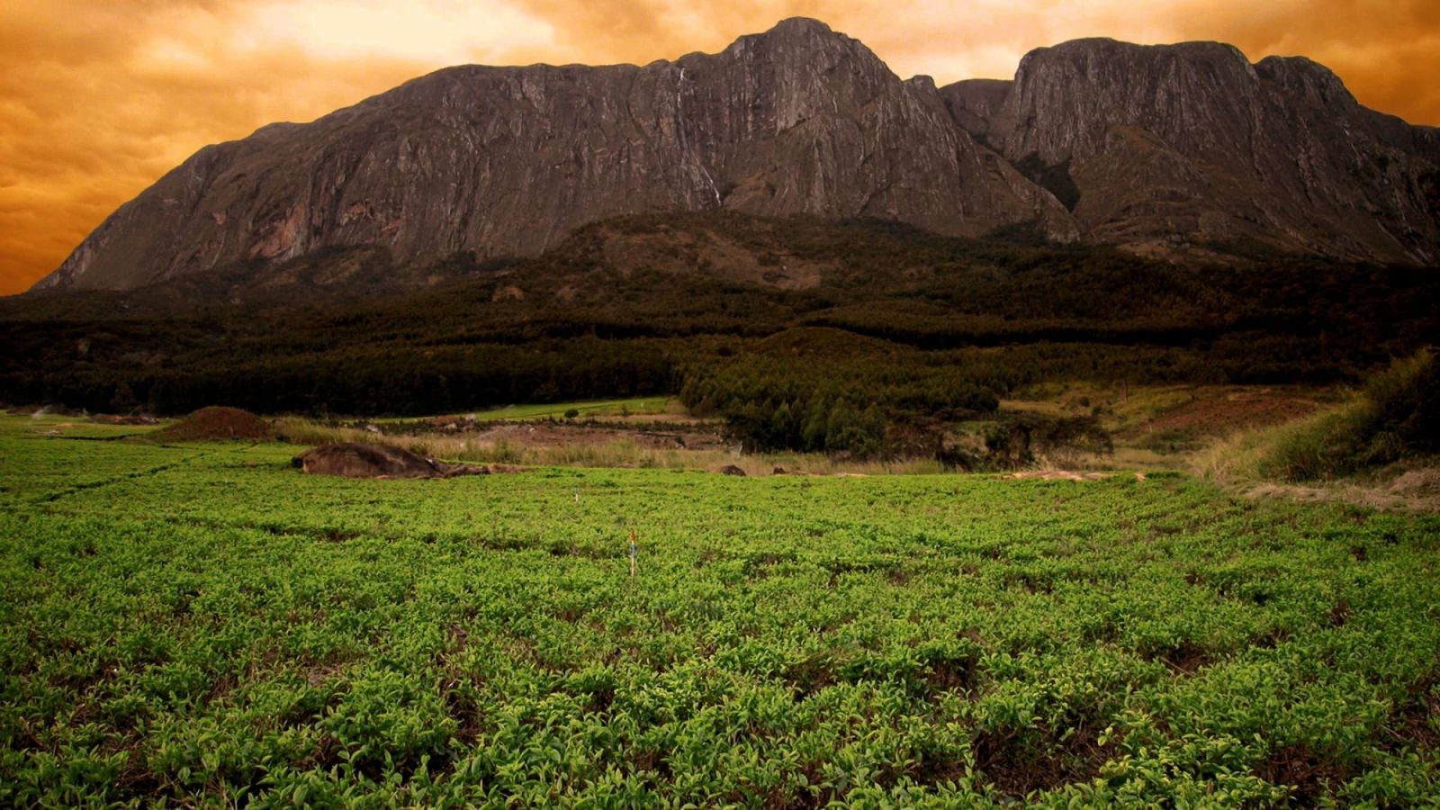 Mount Mulanje Hiking — Malawi's Dramatic Massif — Mount Mulanje, Malawi