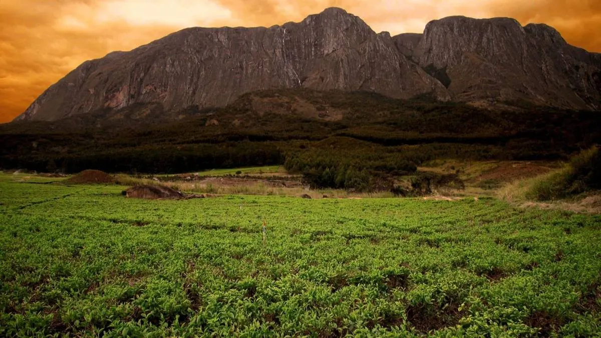 Mount Mulanje Hiking — Malawi's Dramatic Massif — Mount Mulanje, Malawi